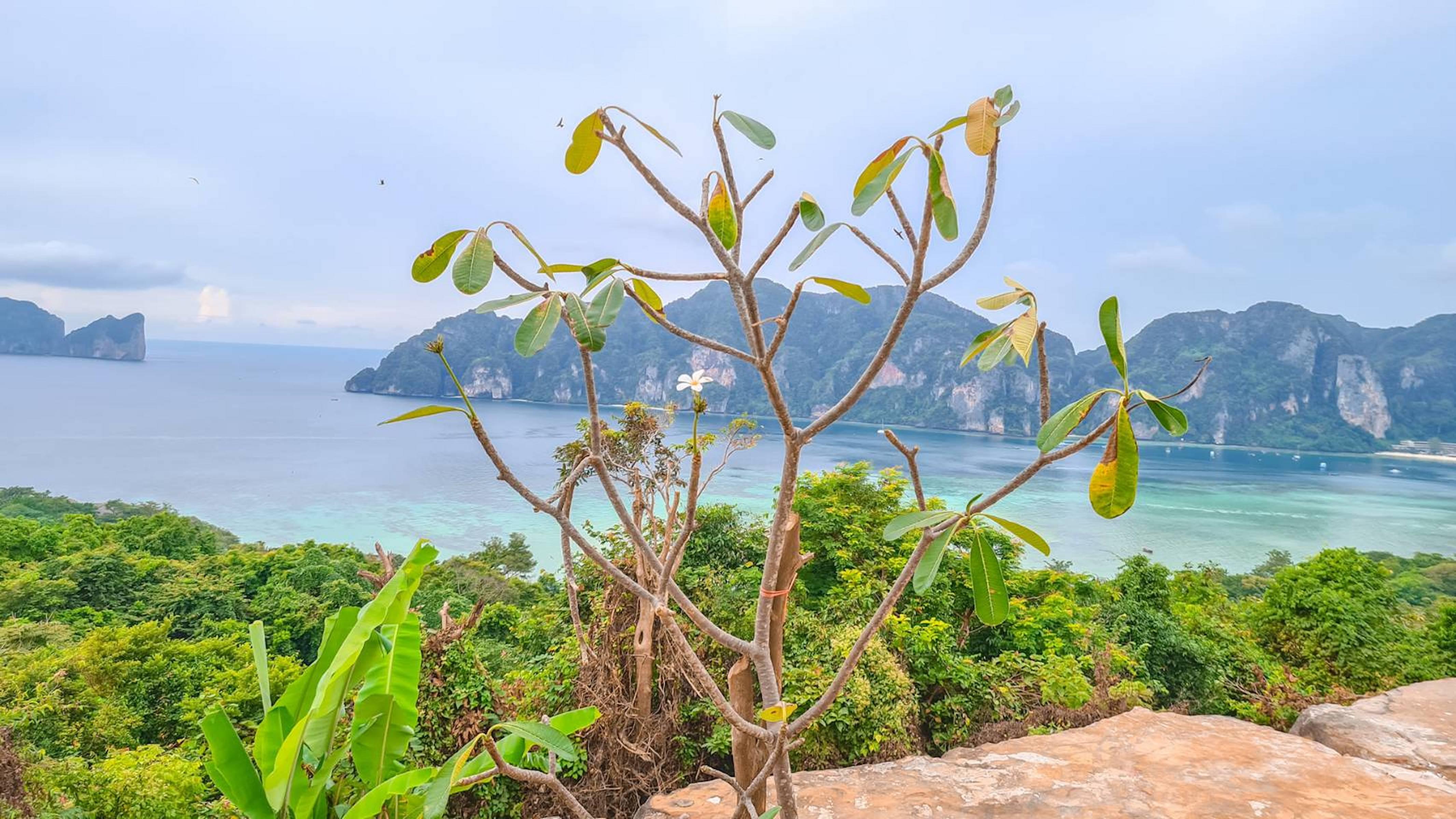 Phi Phi Mountain Beach Resort Sha Certified Buitenkant foto